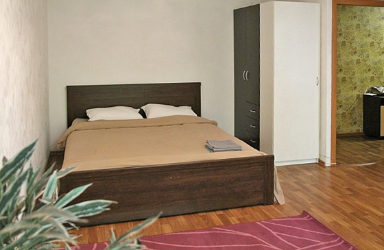 Снять квартиру посуточно на Академической в Академгородке