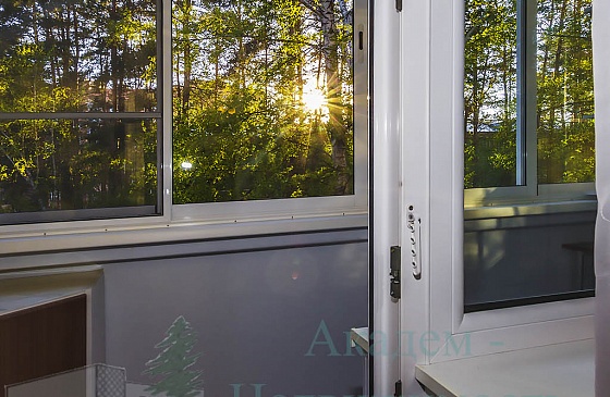 Как снять квартиры посуточно Академгородок Новосибирск  Мешалкина