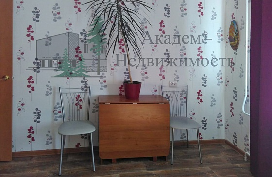 Снять двушку на Демакова в Академгородке Новосибирска